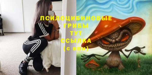 2c-b Белоозёрский